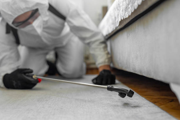 Professional Cockroach Control technician working in Corning, NY